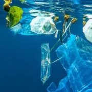 آسیب پلاستیک به محیط زیست